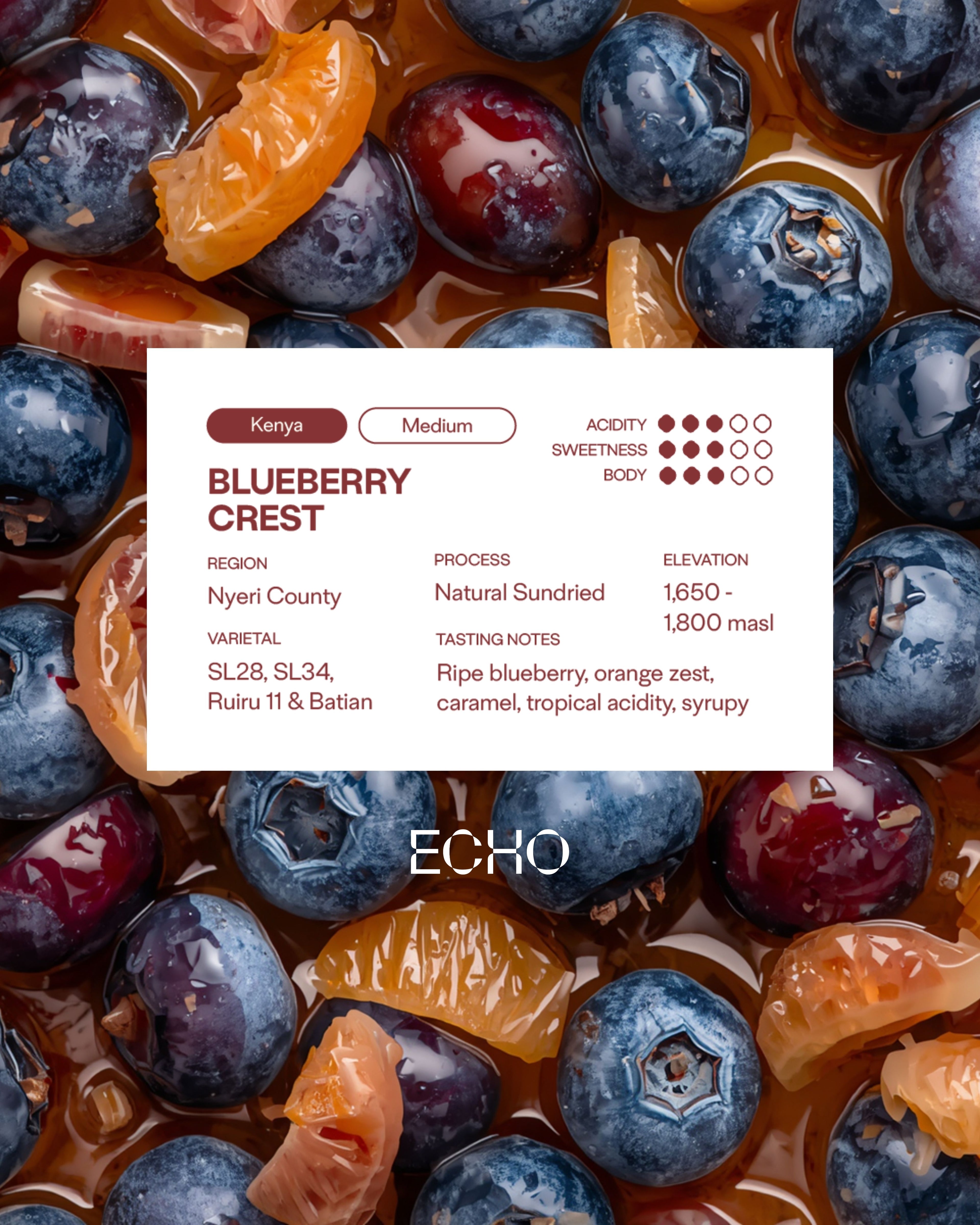 Blueberry Crest Kenya