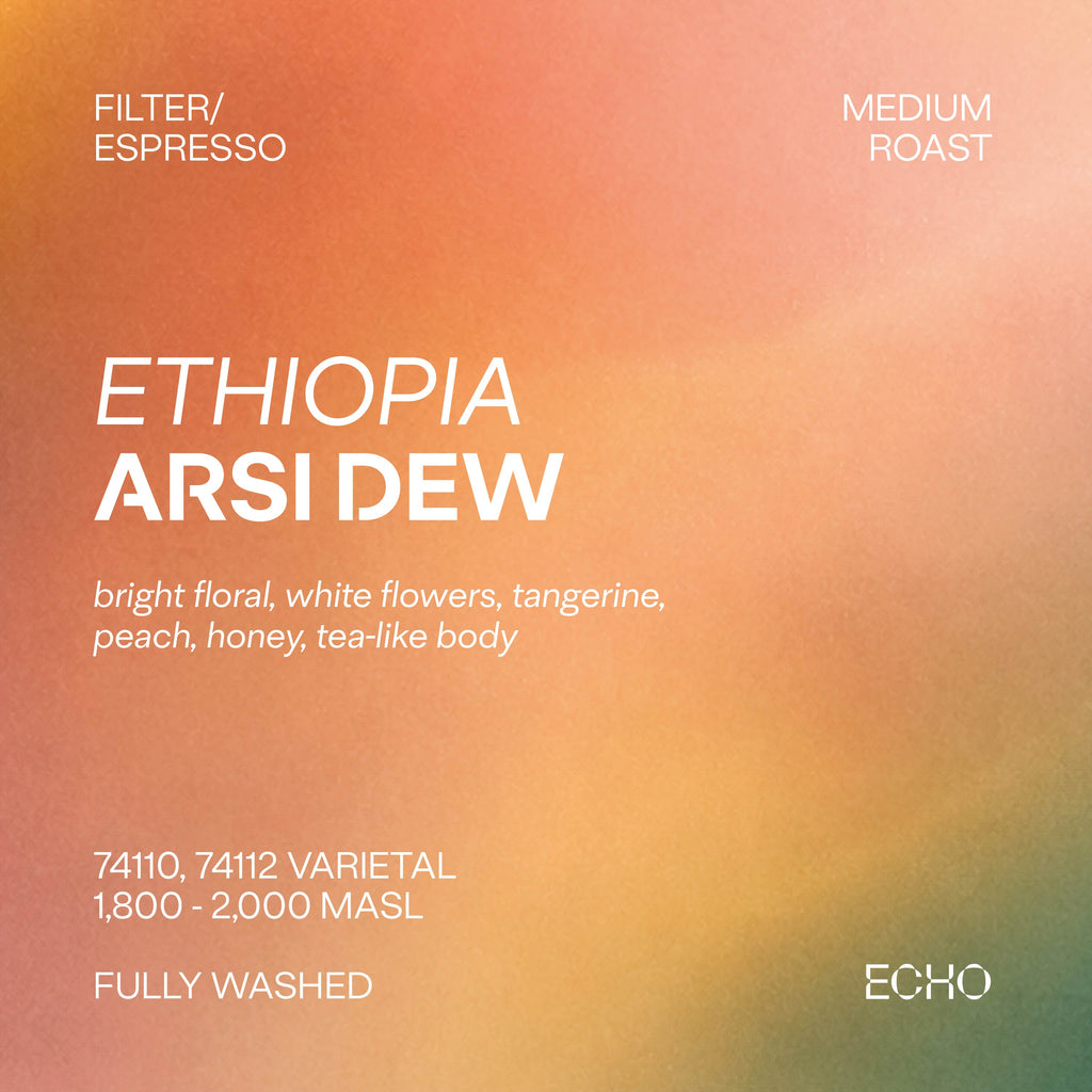 Arsi Dew Ethiopia Washed